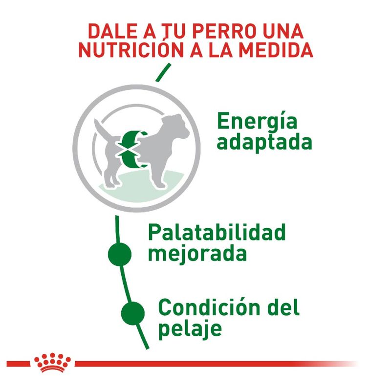 comida-para-perros-royal-canin