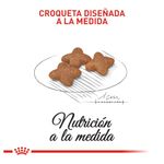 comida-para-perros-royal-canin