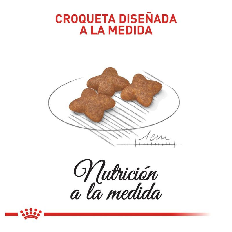 comida-para-perros-royal-canin
