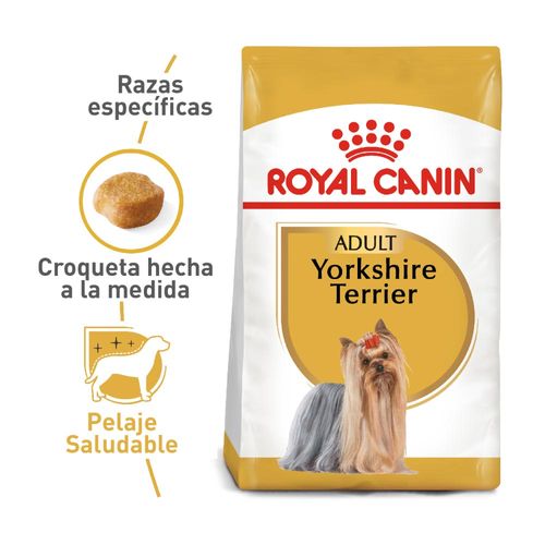 Royal Canin Yorkshire Terrier