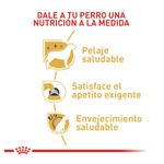 comida-para-perros-royal-canin