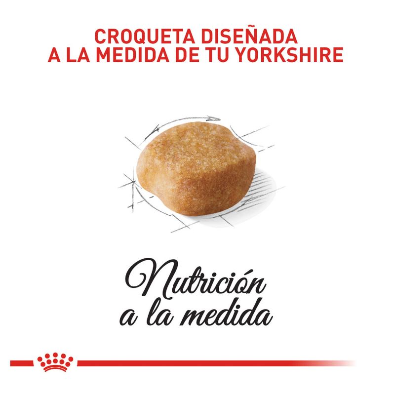 comida-para-perros-royal-canin
