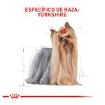 comida-para-perros-royal-canin