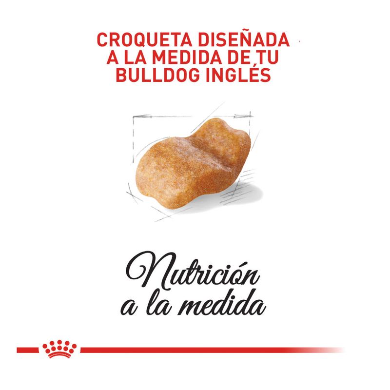 030111417886-3-comida-para-perros-royal-canin