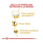 royal-canin-coker-ALIMENTO-PERRO-BOGOTA