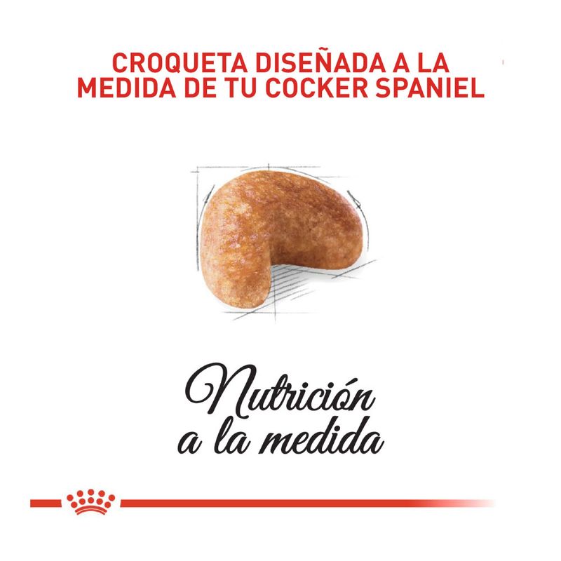 royal-canin-coker-ALIMENTO