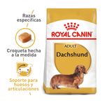 DACHSHUND-comida-para-perros