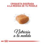 comida-POODLE-royal-canin