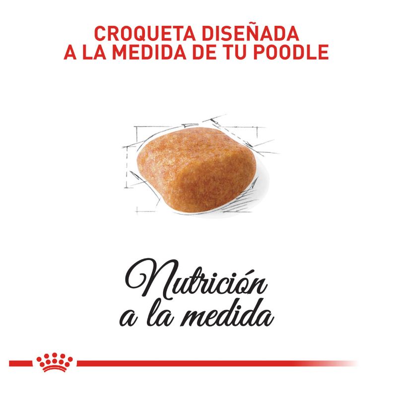 comida-POODLE-royal-canin