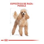 comida-POODLE-royal-canin