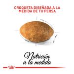 3182550702614-3-comida-para-gatos-royal-canin