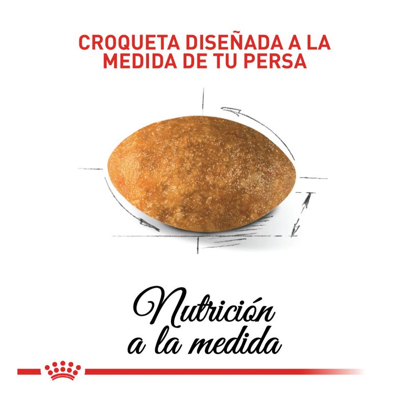3182550702614-3-comida-para-gatos-royal-canin