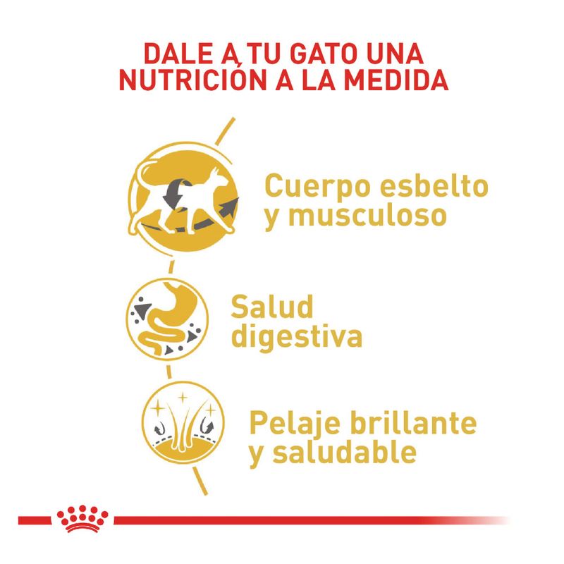 Royal-canin-FELINE-SIAMESE