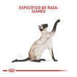 Royal-canin-FELINE-SIAMESE