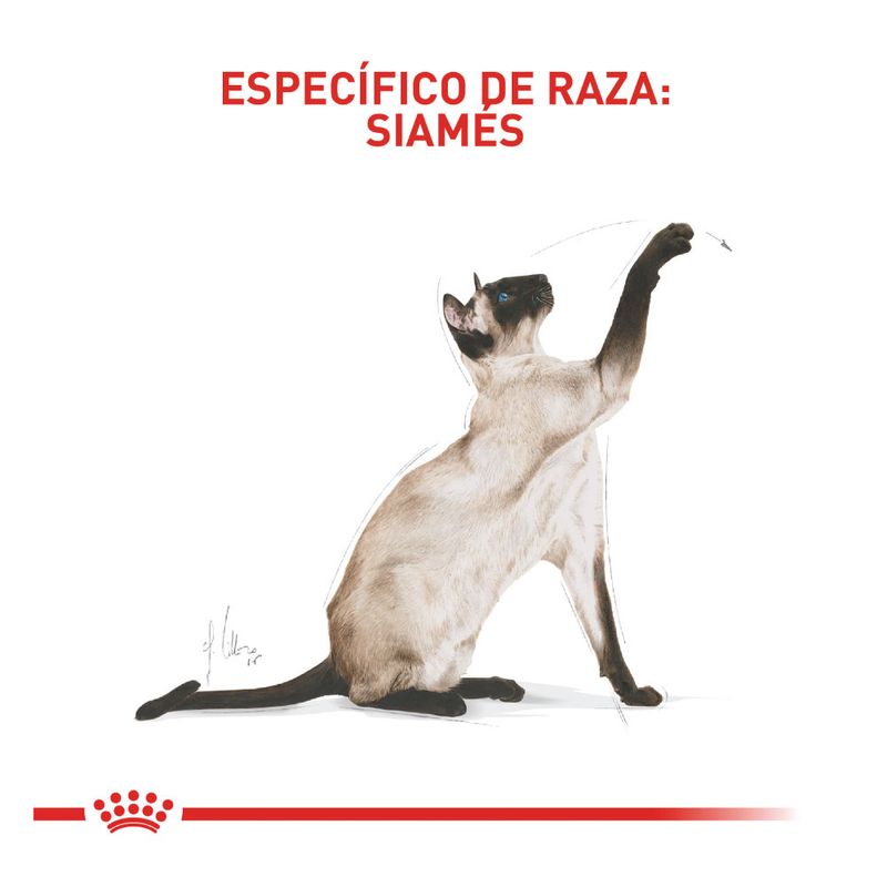 Royal-canin-FELINE-SIAMESE