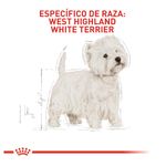 alimento-perro-WHITE-TERRIER