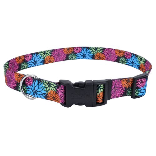 Coastal Perro Styles Flores Negro Collar Medium 3/4 Pulg