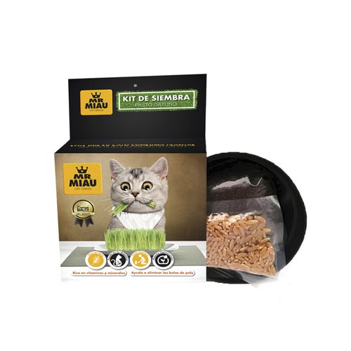 Kit Siembra Pasto Gatuno Mr Miau 13016