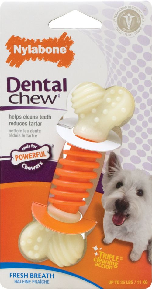 NYLABONE POWER CHEW HUESO DENTAL PRO SMALL TOCINO