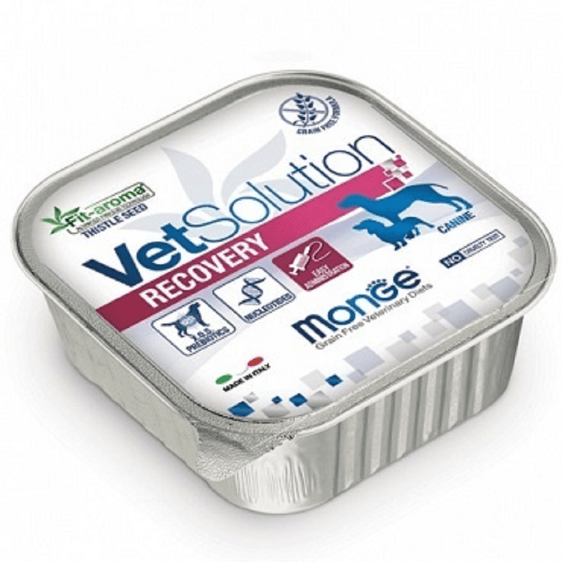 VET-SOLUTION-DOG-RECOVERY--PERRO-ALIMENTO-DOMICILIO-BOGOTA