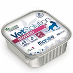 VET-SOLUTION-CAT-RECOVERY--GATO-ALIMENTO-DOMICILIO-BOGOTA
