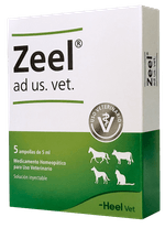 ZEEL-VET-ESPECIALIDAD-VETERINARIA-BOGOTA-DOMICILIO