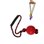 JUGUETE-PERRO-PELOTA-MEDIANA-CON-LAZO-BOGOTA-DOMICILIO