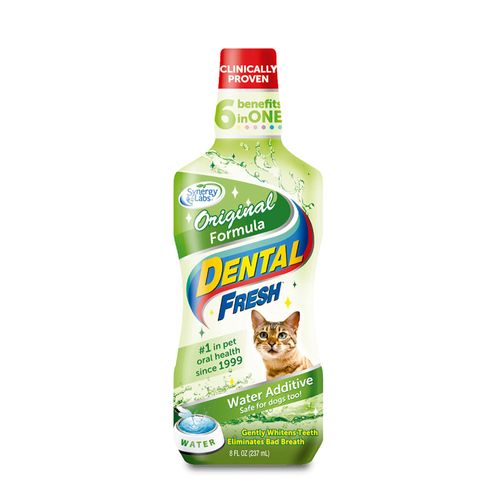 Dental Fresh Cat X 8 Oz  00101