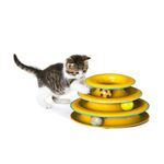 GATO-GIMNASIO-INTERACTIVO