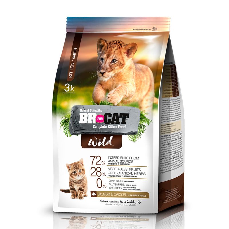 BR4CATS-CAT-WILD-GATITOS
