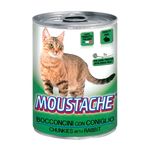 MOUSTACHE-LATA-GATO-RABBIT