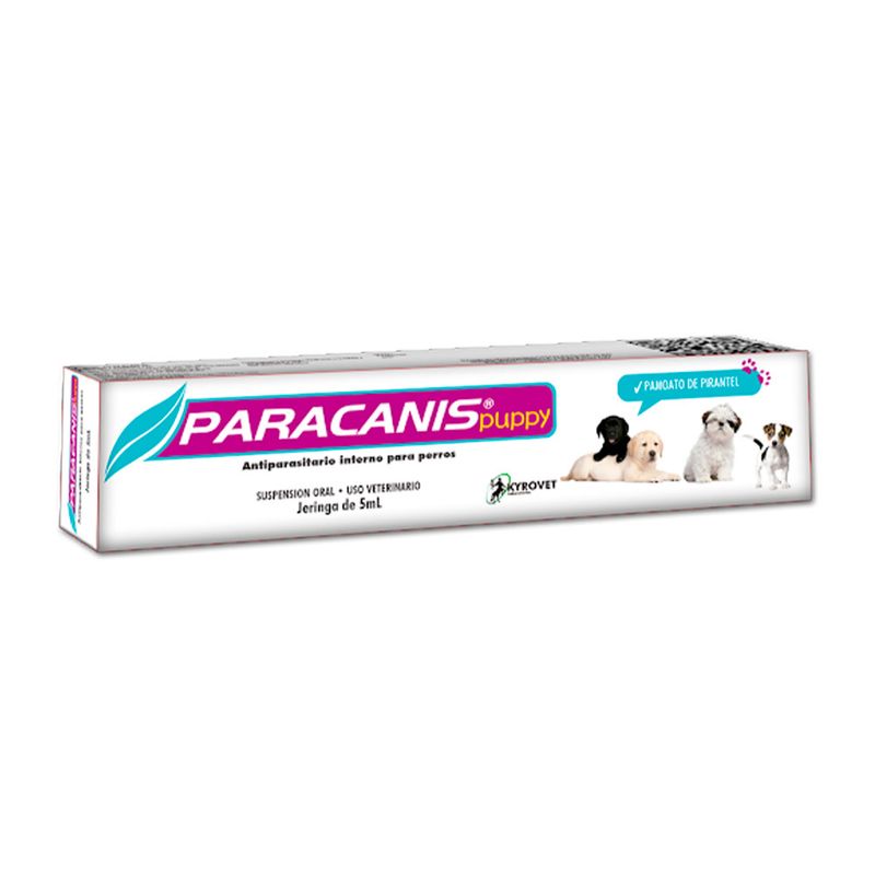PARACANIS-PUPPY