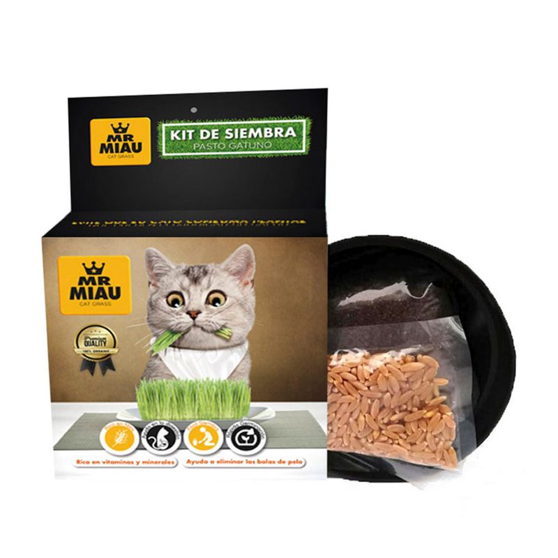 KIT-SIEMBRA-PASTO-GATUNO-REPUESTO-ACCESORIOS-BOGOTA-DOMICILIO-GATO