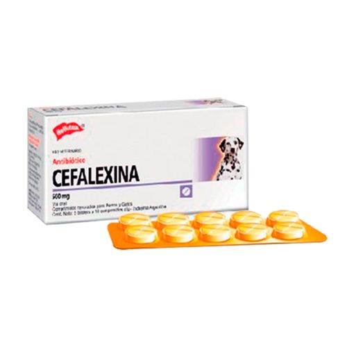 Cefalexina 500 Mg Blister X 10 Tb