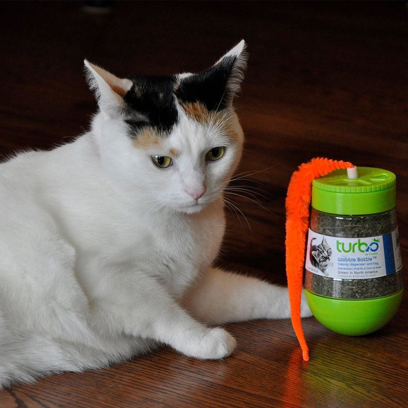 Menta-gato-TURBO-GATO-CATNIP-WOBBLER