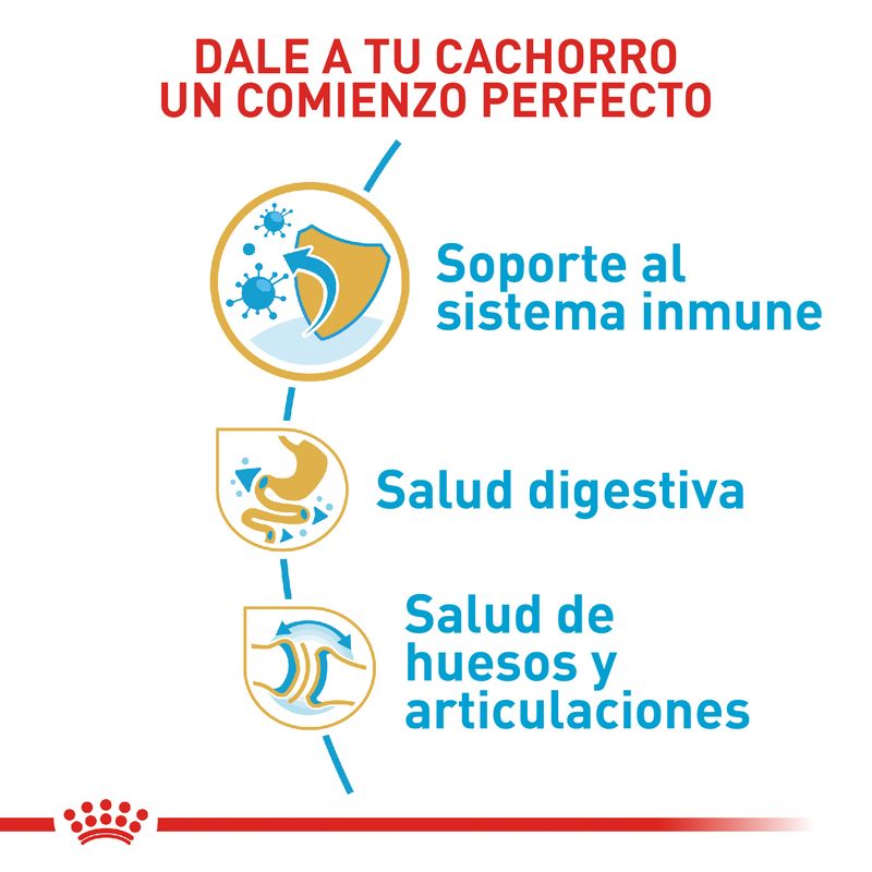 ROYAL-CANIN-BULLDOG-INGLES-PUPPY-PERRO-ALIMENTO-BOGOTA