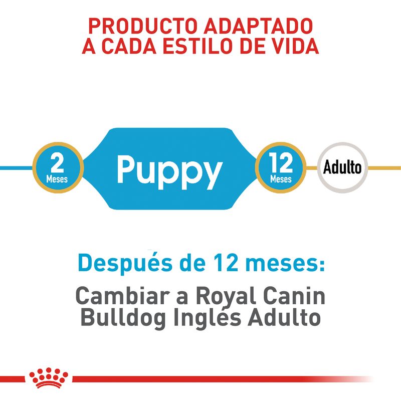ROYAL-CANIN-BULLDOG-INGLES-PUPPY-PERRO-ALIMENTO-DOMICILIO