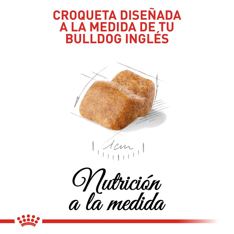ROYAL-CANIN-BULLDOG-INGLES-PUPPY-PERRO-ALIMENTO-BOGOTA