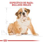 ROYAL-CANIN-BULLDOG-INGLES-PUPPY-PERRO-ALIMENTO-BOGOTA-DOMICILIO