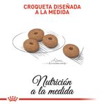 comida-perro-ROYAL-CANIN-MINI-WEIGHT-CARE-