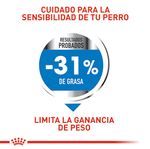 comida-perro-ROYAL-CANIN-MINI-WEIGHT-CARE-