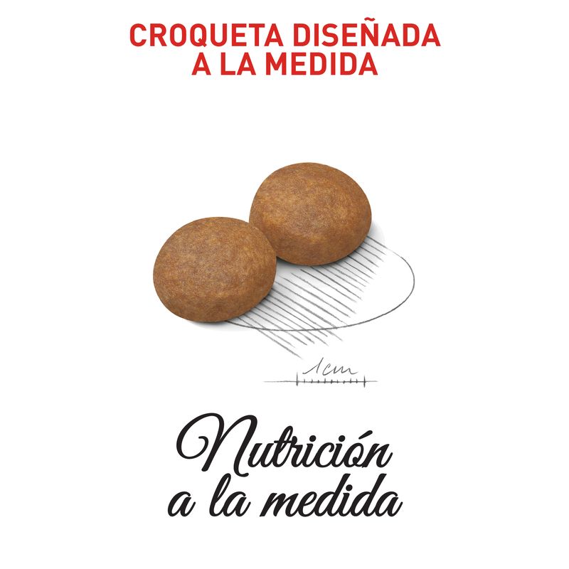 ROYAL-CANIN-MEDIUM-ADULT-7-MATURE-BOGOTA-