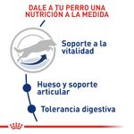 ROYAL-CANIN-MAXI-ADULT-5-MATURE-BOGOTA-DOMICILIO-PERRO-ALIMENTO
