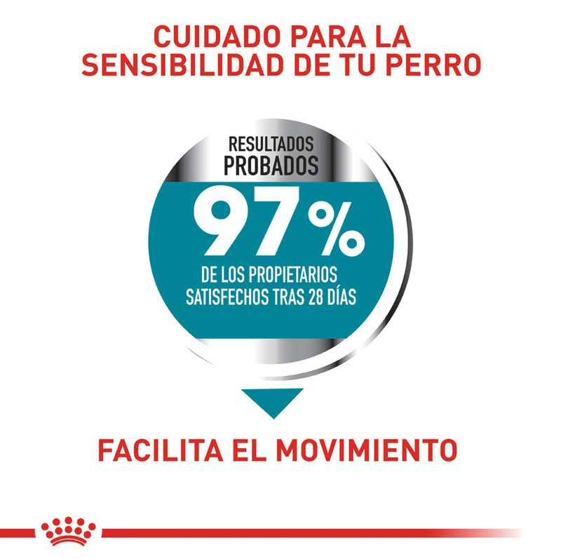 ROYAL-CANIN-MAXI-ADULT-JOINT-CARE-BOGOTA-DOMICILIO-PERRO