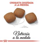 ROYAL-CANIN-MAXI-ADULT-JOINT-CARE-PERRO-DOMICILIO-BOGOTA