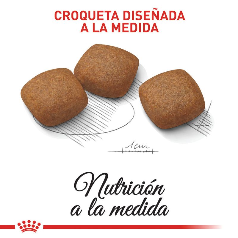 ROYAL-CANIN-MAXI-ADULT-JOINT-CARE-PERRO-DOMICILIO-BOGOTA