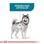 ROYAL-CANIN-MAXI-ADULT-JOINT-CARE-PERRO-DOMICILIO-BOGOTA