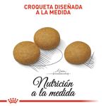 ROYAL-CANIN-MEDIUM-ADULT-DERMA-PERRO-DOMICILIO-BOGOTA