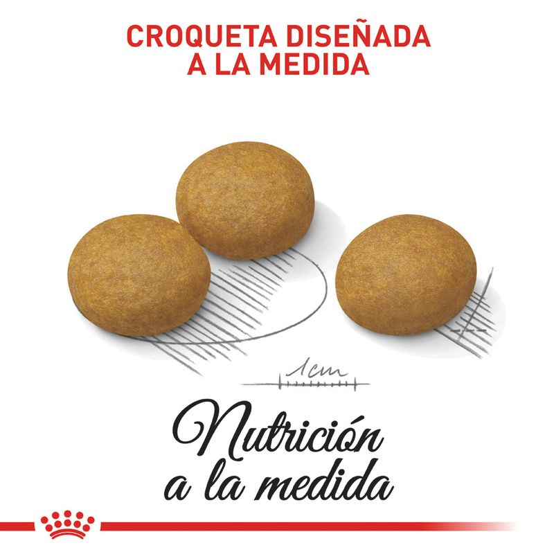 ROYAL-CANIN-MEDIUM-ADULT-DERMA-PERRO-DOMICILIO-BOGOTA