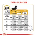 ROYAL-CANIN-MEDIUM-ADULT-DERMA--PERRO-DOMICILIO-BOGOTA